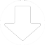 download icon